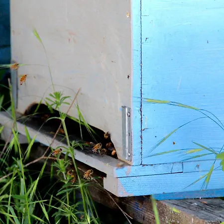 Palazzo Minelli * Sala Bolognese