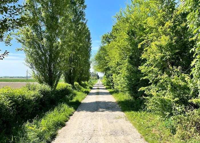 Palazzo Minelli مزرعة للإقامة *