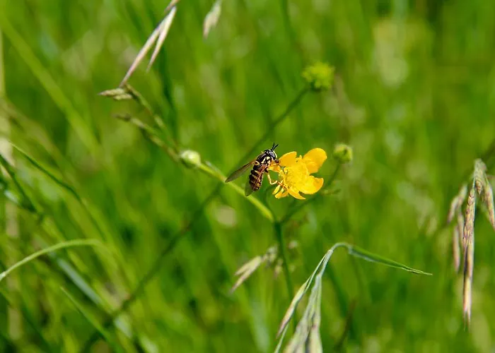 Palazzo Minelli مزرعة للإقامة