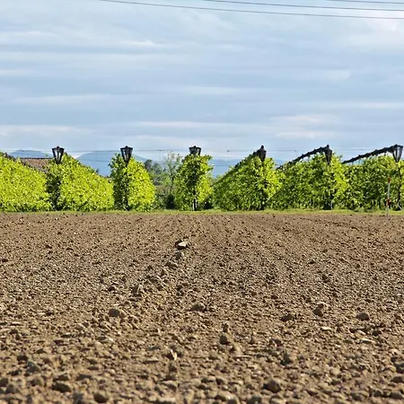 Palazzo Minelli Vakantieboerderij