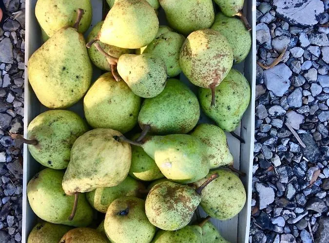 农家乐 米内利广场酒店 Sala Bolognese