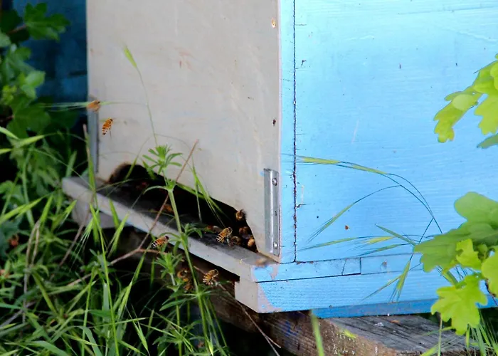 米内利广场酒店 * Sala Bolognese