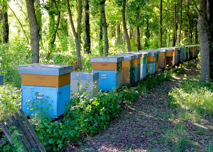 Gospodarstwo agroturystyczne Palazzo Minelli