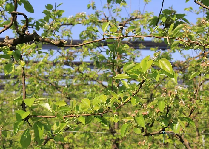 Gospodarstwo agroturystyczne Palazzo Minelli *